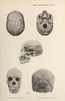 An illustration from Zur anthropologie des abflusslosen rumpfschollenlandes im nordöstlichen Deutsch-Ostrafrika, auf grund der sammlung der Ostrafrika- expedition (dr. E. Obst) der Geographischen gesellschaft in Hamburg (1915)