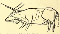 An illustration from Zur Psychologie der primitiven Kunst : ein Vortrag (1908)
