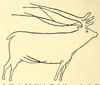An illustration from Zur Psychologie der primitiven Kunst : ein Vortrag (1908)