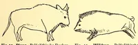 An illustration from Zur Psychologie der primitiven Kunst : ein Vortrag (1908)