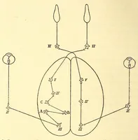 An illustration from Zur Psychologie der primitiven Kunst : ein Vortrag (1908)