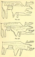 Picture 20 of 20 from Zur Psychologie der primitiven Kunst : ein Vortrag (1908), leaf 41