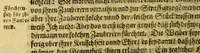 An illustration from Zwantzigste Schifffahrt, oder Gründliche vnd sattsame Beschreibung dess Newen Engellands: wie auch aüssfuhrliche Erzehlung von Beschaffenheit dor Landtschafft Virginia, vnd der Insel Barmuda, deren man bisshero schlechte vnnd vnvollkommene Wissenschafft gehabt, an jetzo aber durch dero Landt erfahrne Leuht, völliglich an Tag gegeben (1629)