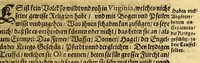 An illustration from Zwantzigste Schifffahrt, oder Gründliche vnd sattsame Beschreibung dess Newen Engellands: wie auch aüssfuhrliche Erzehlung von Beschaffenheit dor Landtschafft Virginia, vnd der Insel Barmuda, deren man bisshero schlechte vnnd vnvollkommene Wissenschafft gehabt, an jetzo aber durch dero Landt erfahrne Leuht, völliglich an Tag gegeben (1629)