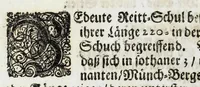 An illustration from Zwey-einiger Hymenaeus, oder, Oesterreich-Lüneburgischer frid- und freuden-voller Vermählungs-Gott : denen aller-durchleuchtigist-grossmächtigisten, nunmehro aller-erwüntscht- und Aller-Glück-Vergnügtist-Vermählten röm. und ungar. königl königl. Maj. Maj. [et]c. [et]c. Josepho I. vom aller-durchleuchtigist-sig- und glorreichisten Ertz-Hauss-Oesterreich, [et]c. [et]c. herstammend, und Wilhelminae Amaliae, aller-preyss-würdigst-Gebohrnen Hertzogin von Braunschweig, und Lüneburg, [et]c. [et]c. durch vier Triumph- Lieb- und Lob-andeutende Ruhm- oder Ehren-Pforten zur aller-schuldigst-Jubel-vollen Ehren-Bezeugung hiebevor eröffnet (1699)