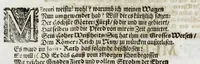 An illustration from Zwey-einiger Hymenaeus, oder, Oesterreich-Lüneburgischer frid- und freuden-voller Vermählungs-Gott : denen aller-durchleuchtigist-grossmächtigisten, nunmehro aller-erwüntscht- und Aller-Glück-Vergnügtist-Vermählten röm. und ungar. königl königl. Maj. Maj. [et]c. [et]c. Josepho I. vom aller-durchleuchtigist-sig- und glorreichisten Ertz-Hauss-Oesterreich, [et]c. [et]c. herstammend, und Wilhelminae Amaliae, aller-preyss-würdigst-Gebohrnen Hertzogin von Braunschweig, und Lüneburg, [et]c. [et]c. durch vier Triumph- Lieb- und Lob-andeutende Ruhm- oder Ehren-Pforten zur aller-schuldigst-Jubel-vollen Ehren-Bezeugung hiebevor eröffnet (1699)
