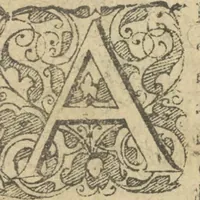 An illustration from Regionum Indicarum per Hispanos olim devastatrum accuratissima descriptio, insertis figuris aencis ad vivum fabrefactis (1664)