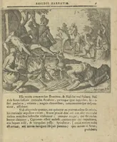 Picture 6 of 21 from Regionum Indicarum per Hispanos olim devastatrum accuratissima descriptio, insertis figuris aencis ad vivum fabrefactis (1664), leaf 16