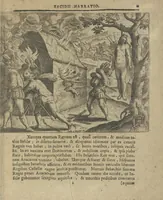 Picture 7 of 21 from Regionum Indicarum per Hispanos olim devastatrum accuratissima descriptio, insertis figuris aencis ad vivum fabrefactis (1664), leaf 20