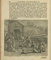 Picture 9 of 21 from Regionum Indicarum per Hispanos olim devastatrum accuratissima descriptio, insertis figuris aencis ad vivum fabrefactis (1664), leaf 29