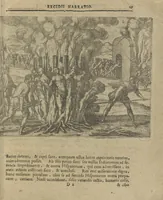 Picture 10 of 21 from Regionum Indicarum per Hispanos olim devastatrum accuratissima descriptio, insertis figuris aencis ad vivum fabrefactis (1664), leaf 36
