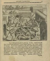 Picture 13 of 21 from Regionum Indicarum per Hispanos olim devastatrum accuratissima descriptio, insertis figuris aencis ad vivum fabrefactis (1664), leaf 46