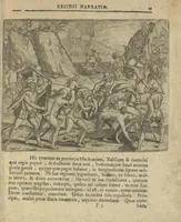 Picture 16 of 21 from Regionum Indicarum per Hispanos olim devastatrum accuratissima descriptio, insertis figuris aencis ad vivum fabrefactis (1664), leaf 52