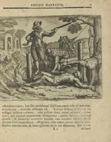 Picture 19 of 21 from Regionum Indicarum per Hispanos olim devastatrum accuratissima descriptio, insertis figuris aencis ad vivum fabrefactis (1664), leaf 84