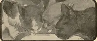 Picture 3 of 14 from The book of the cat : with facsimiles of drawings in colour (1903), leaf 11