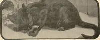 An illustration from The book of the cat : with facsimiles of drawings in colour (1903)