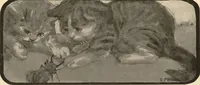 Picture 13 of 14 from The book of the cat : with facsimiles of drawings in colour (1903), leaf 51