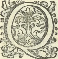 An illustration from Vita e lettere di Amerigo Vespucci, gentiluomo fiorentino (1745)