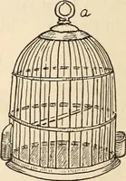 Picture 33 of 92 from Later magic (1904), leaf 102