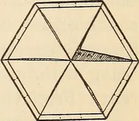 Picture 59 of 92 from Later magic (1904), leaf 229