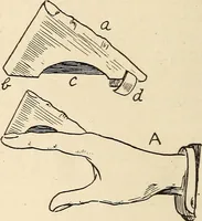 Picture 61 of 92 from Later magic (1904), leaf 240