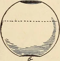 Picture 63 of 92 from Later magic (1904), leaf 247