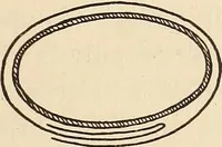 Picture 70 of 92 from Later magic (1904), leaf 335
