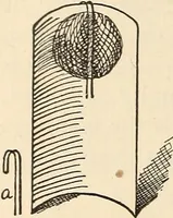An illustration from Later magic (1904)