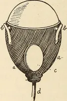 Picture 77 of 92 from Later magic (1904), leaf 416
