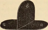 Picture 8 of 92 from Later magic (1904), leaf 43