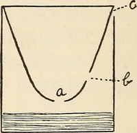 Picture 81 of 92 from Later magic (1904), leaf 464