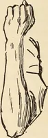 An illustration from Later magic (1904)