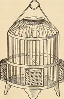 Picture 92 of 92 from Later magic (1904), leaf 545