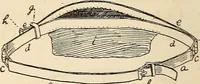 Picture 20 of 92 from Later magic (1904), leaf 58
