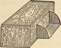 Picture 21 of 92 from Later magic (1904), leaf 59
