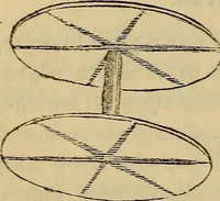 Picture 17 of 38 from Parlour magic. (1838), leaf 64