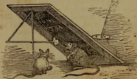 Picture 44 of 99 from The boy's own book; a complete encylopedia of all the diversion, athletic, scientific and recreative, of boyhood and youth. (1834), leaf 112