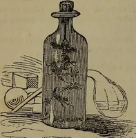 Picture 52 of 99 from The boy's own book; a complete encylopedia of all the diversion, athletic, scientific and recreative, of boyhood and youth. (1834), leaf 138