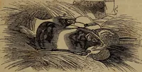 Picture 85 of 99 from The boy's own book; a complete encylopedia of all the diversion, athletic, scientific and recreative, of boyhood and youth. (1834), leaf 285