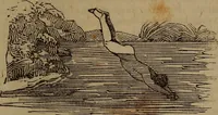 An illustration from The boy's own book; a complete encylopedia of all the diversion, athletic, scientific and recreative, of boyhood and youth. (1834)