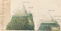 An illustration from De distributione geographica plantarum secundum cœli temperiem et altitudinem montium, prolegomena (1817)