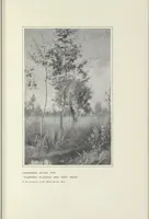 Picture 18 of 41 from Henrietta Rae (Mrs. Ernest Normand) (1905), leaf 108