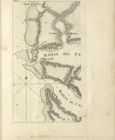 An illustration from An account of the first discovery, and natural history of Florida : with a particular detail of the several expeditions and descents made on that coast (1763)