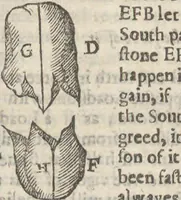 Picture 10 of 19 from Natural magick, (1658), leaf 205