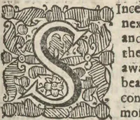 An illustration from Natural magick, (1658)
