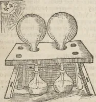 Picture 12 of 19 from Natural magick, (1658), leaf 266