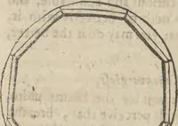 Picture 16 of 19 from Natural magick, (1658), leaf 365