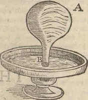 Picture 17 of 19 from Natural magick, (1658), leaf 388