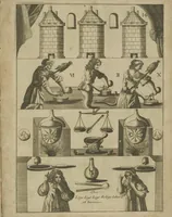 Picture 13 of 14 from Mutus liber, (1702), leaf 31