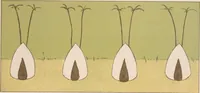 Picture 6 of 14 from Topsys & turvys (1893), leaf 35